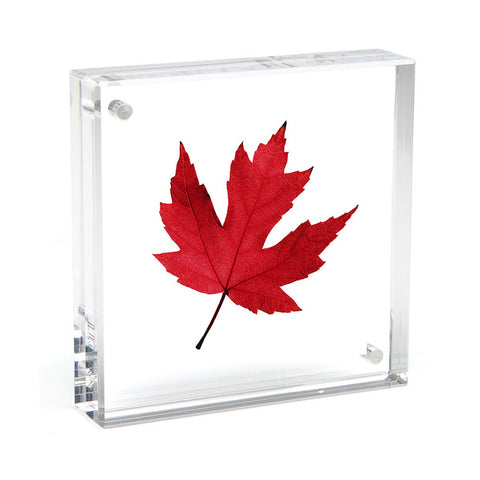Square Magnet Frame by CANETTI
