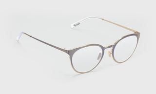 Jim Dandy (Style 600) Metal Readers in Gold (Color 99)