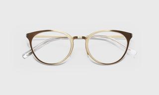 Jim Dandy (Style 600) Metal Readers in Gold (Color 99)