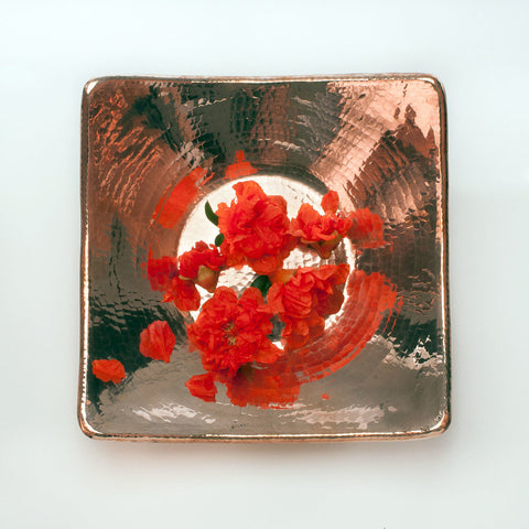 Flat Earth Centerpiece 10"