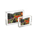 The Original Magnet Frame by CANETTI