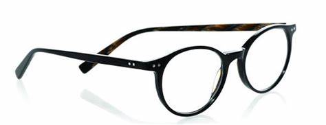 Case Closed (Style 2419) Readers in Black & Horn Front and Temples (Color 07)