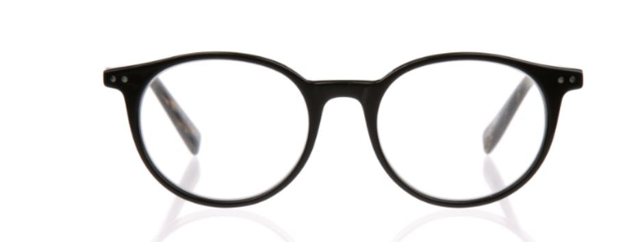 Case Closed (Style 2419) Readers in Black & Horn Front and Temples (Color 07)