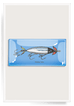 Fishing Lure Decoupage Glass Tray