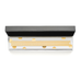 Brass Ruler