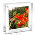 Square Magnet Frame by CANETTI