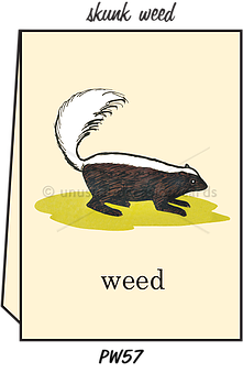 Pointed Wit Greeting Card: "Skunk Weed"
